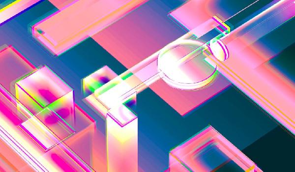 Memecoins – The Fastest-Growing Crypto Sector in 2024 But Can It Last?