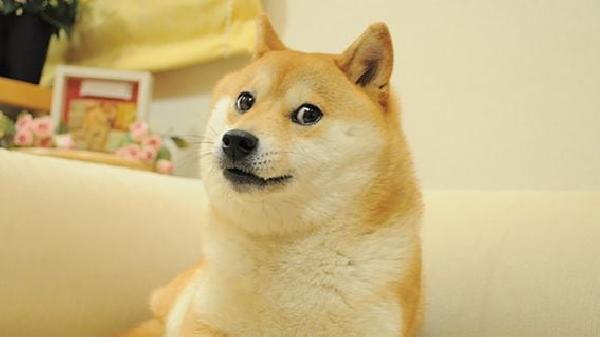 Polygon Stops Work on ‘Edge,‘ Used to Build Dogechain, as Focus Turns to ZK