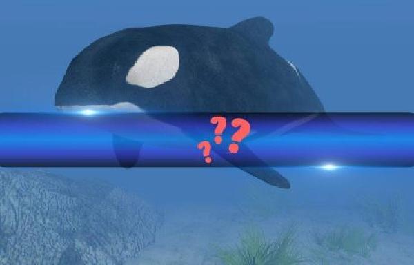 ZachXBT Identifies Hyperliquid Whale as UK Fraudster