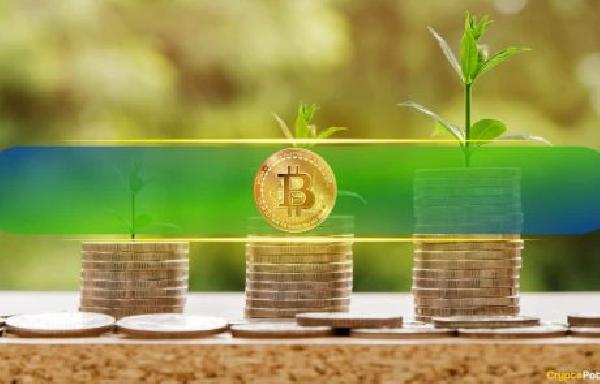 Bitcoin, Ethereum, Meme Coins Shine With Higher Percentage of Profitable Holders