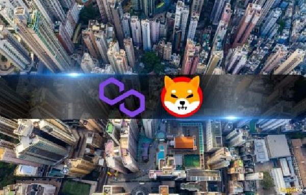 Centralization Threats Loom as Polygon and Shiba Inu Exhibit High Concentration Among Top Wallets