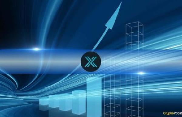 Immutable X and zkEVM NFT Sales Surge 55 in Q4 2024, But Market Participation Declines