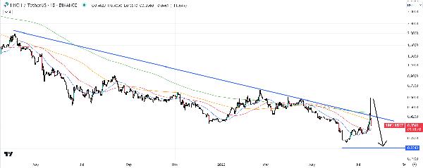 1inch Network Price Prediction as 1INCH Dumps 15 - Is a Whale Selling?