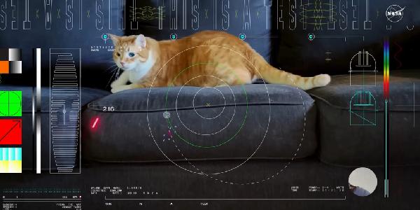 NASA Can Now Beam Cat Videos to Mars