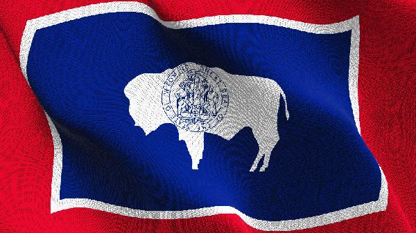 Executive Director of Wyoming‘s Stablecoin Project to Earn More Than Governor Mark Gordon
