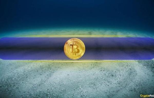 Key Metrics That Signal a Crypto Market Bottom, According to Santiment