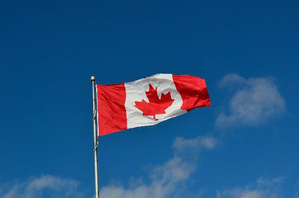 Canadian Crypto Drive Slows in 2023, Users Cite Wider Market Factors