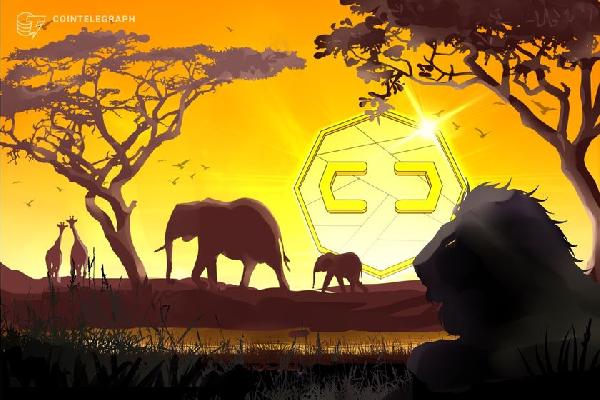 South African regulator may license 36 crypto companies in December