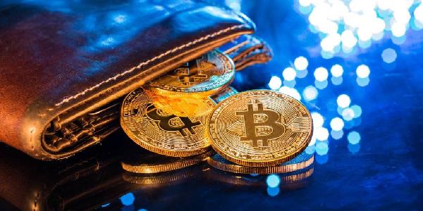 Over 60 of Crypto Users Manage Two or More Wallets: Reown