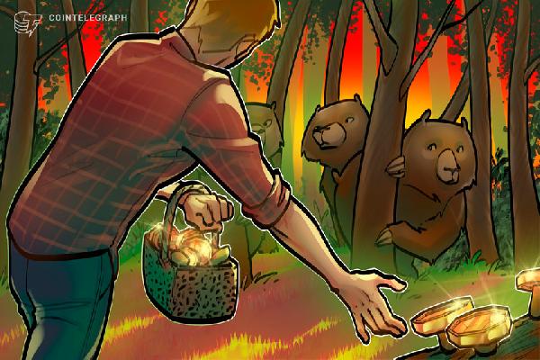 Chainalysis breaks down how scammers adapt during the bear market