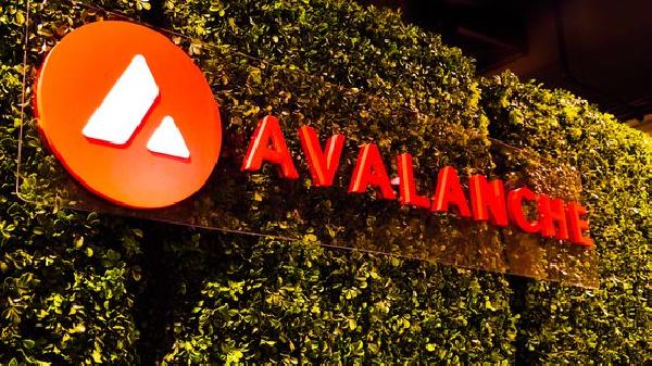Wisdom Tree, T. Rowe Among TradFi Firms to Test Avalanche‘s Blockchain Subnet