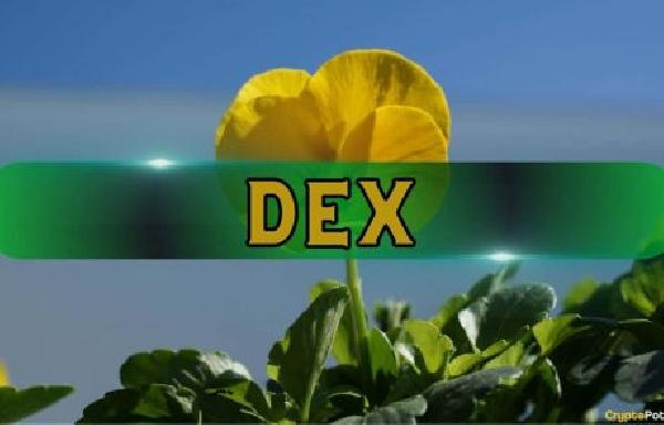 89 of DEX Pools Exploited by Creators in Pump-and-Dump Schemes: Chainalysis