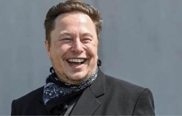 Dogecoin Spikes 14 on Latest Elon Musk Endorsement