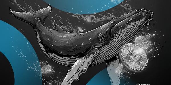 Mysterious Bitcoin Whale Moves $8 Billion in ‘Largest Daily‘ Transfer of Old BTC in History