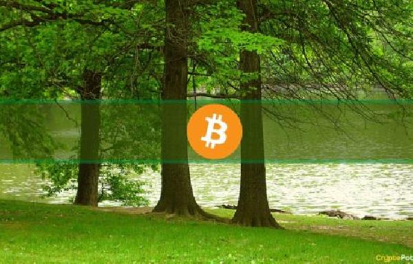 Bitcoin Price Shoots Up to $31K But These 5 Altcoins Are Flying