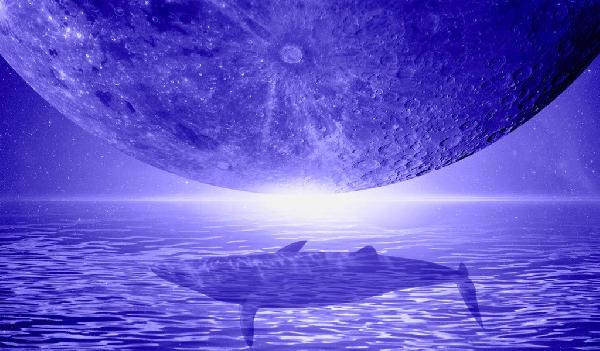 Massive Shiba Inu Whale Accumulates 148,782,308,867 SHIB As the Dogecoin Rival’s Burn Rate Explodes Over 35,000