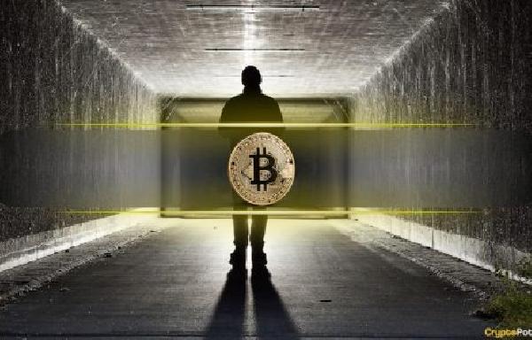 New Clues Emerge: Was Satoshi Nakamoto Active Until 2014?