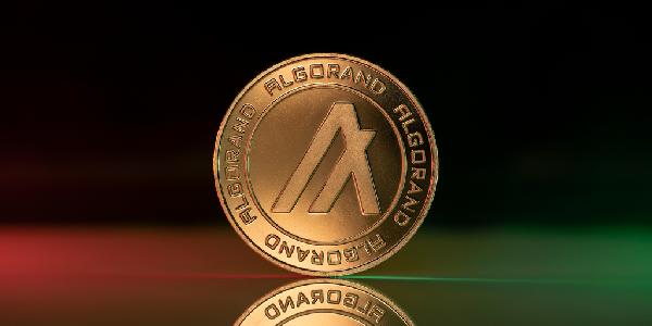 Algorand Hits New All-Time Low Amid Market Downturn