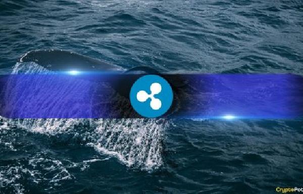 They Knew? These Wallets Loaded Up on XRP Before Ripple’s SEC Win