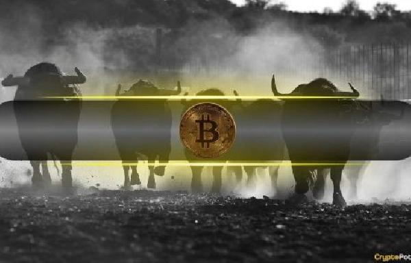 Bitcoin Enters Positive Seasonality Period, But There’s a Catch: CryptoQuant