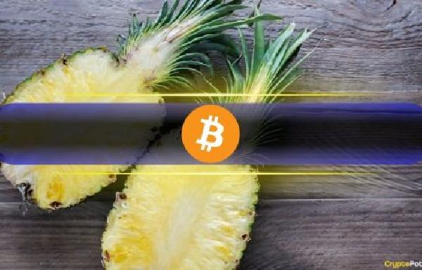 Bitcoin Layer 2 Tokens Outperform BTC Post-Halving
