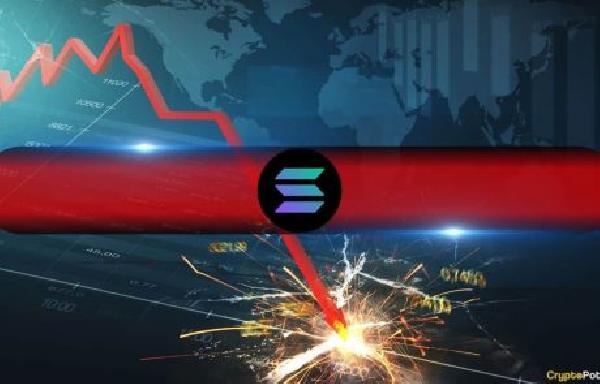 Solana Price Craters 40 From January High as Meme Coin Bubble Bursts