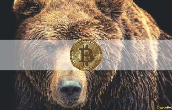 The Bitcoin Bear Market May Have Already Started, Signal Shows