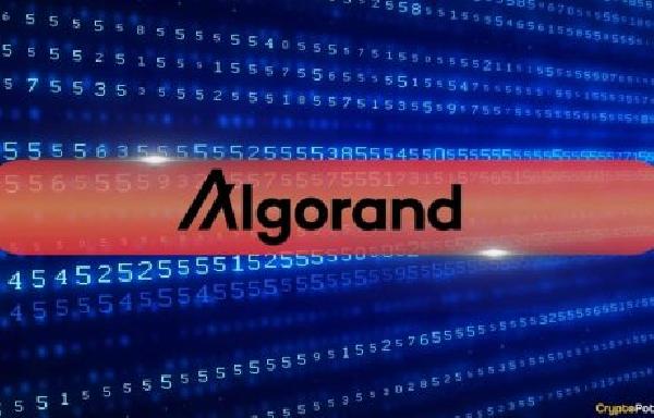 Algorand Foundation CEO’s X Account Hacked