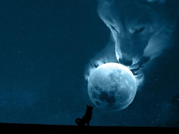 Floki Inu Developers Float DAO Proposal to Burn $55M of Its Own Tokens