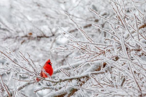 How Industry Can Prevent the Crypto Winter From Becoming an Ice Age