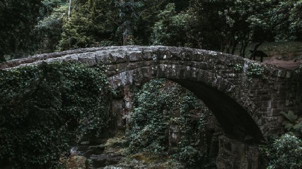 Threshold Network Goes Live With Wormhole to Bridge Bitcoin to 20 Blockchains