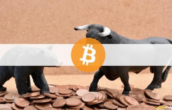 Crypto Bull Run May Have Already Started, One River CEO Says