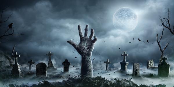 Last Year’s Viral Meme Coins Are Back From the Dead as Solana and Ethereum Gain