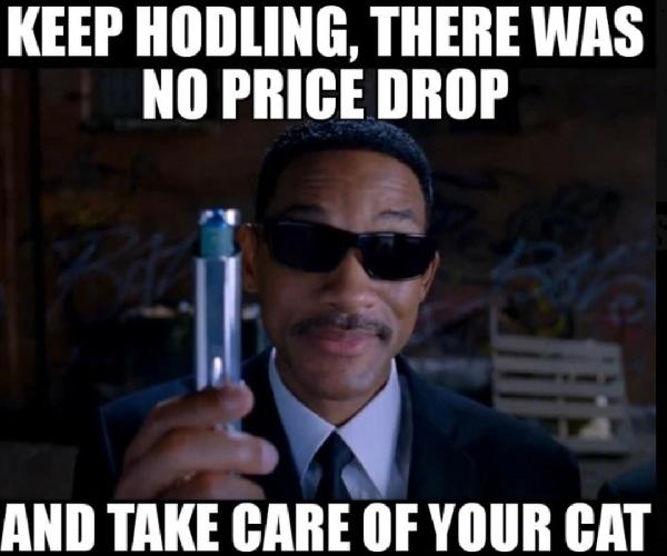 Bulls Extending Gains, Celsius Liquidating Millions, Binance Lightnin’n’Burnin and 20 Crypto Jokes
