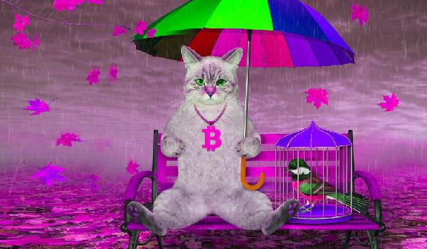 ‘This Could Very Well Be the Ultimate Bull Trap’ – Trader Issues Urgent Crypto Warning As Bitcoin Blasts Past $118,000