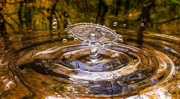Poor Bitcoin Market Liquidity Keeps Crypto Whales at Bay