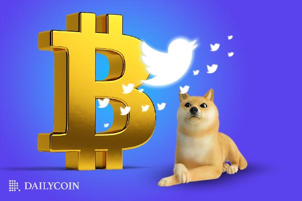 Twitter to Launch BTC Exchange? DOGE Price Drops 4.2
