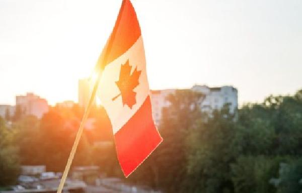 Institutional Interest in Crypto Assets Surges in Canada: KPMG Report