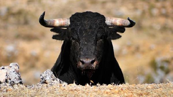 Bitcoin‘s Realized Price on Cusp of Flashing Major Bullish Signal