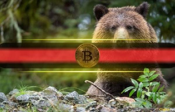 To Lose $17,000 in a Week: Bitcoin Plunges to 5-Month Lows at $53,000