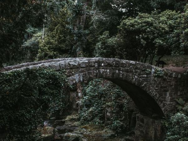 DeFi Broker Prime Protocol Introduces Bridgeless Cross-Chain Token Transfers