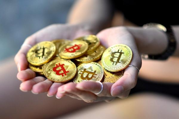 Sequoia Capital Cuts Crypto Fund by Over 65 to $200 Million – What‘s Going On?