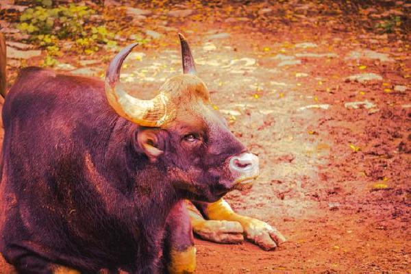 Digital Asset Infrastructure Provider Taurus Raises $65M From Credit Suisse, Deutsche Bank