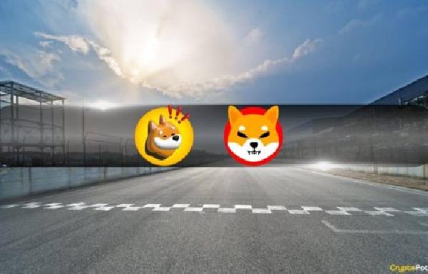 Could BONK Flip SHIB By Bitcoin’s Final ATH This Meta Cycle?