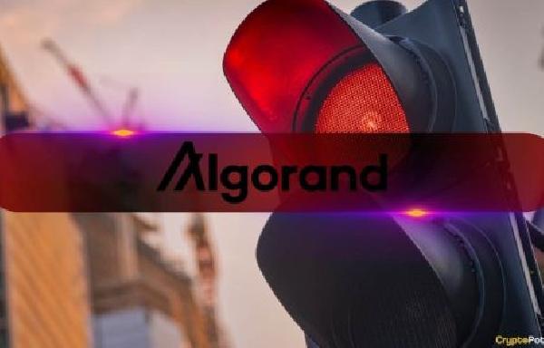 Algorand Investors Face Setbacks, 88 of ALGO Holders in Loss: Analysis