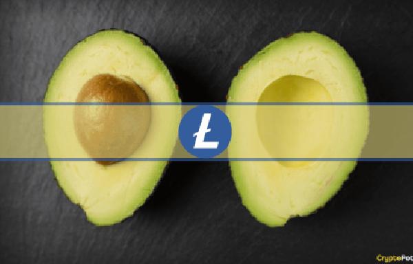 Litecoin Undergoes 3rd Halving but LTC Plunges 6: Why?