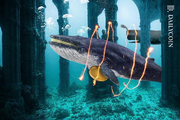 Crypto Whales: Why They’re Flocking to Stablecoins