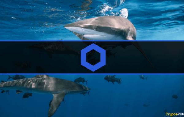 Chainlink Whales Accumulated Over $50M Worth of LINK in 2 Weeks: Data