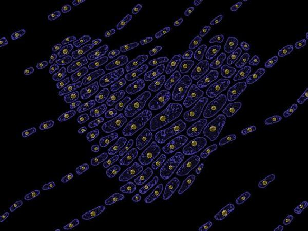 VitaDAO Closes $4.1M Funding Round With Pfizer Ventures for Longevity Research