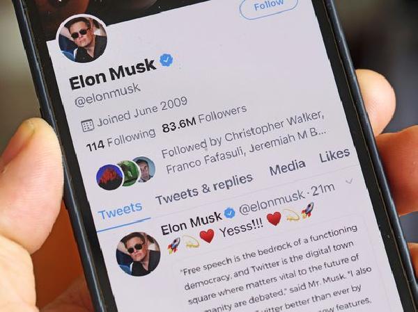 Is Chief Twit Elon Musk Also Top DOGE?